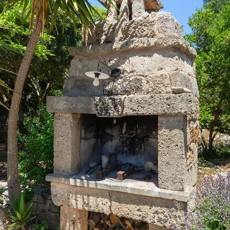 Arancio Gagliano del Capo